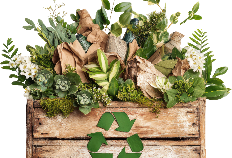 Why Waste Segregation at Source is the Key to Sustainable Cities